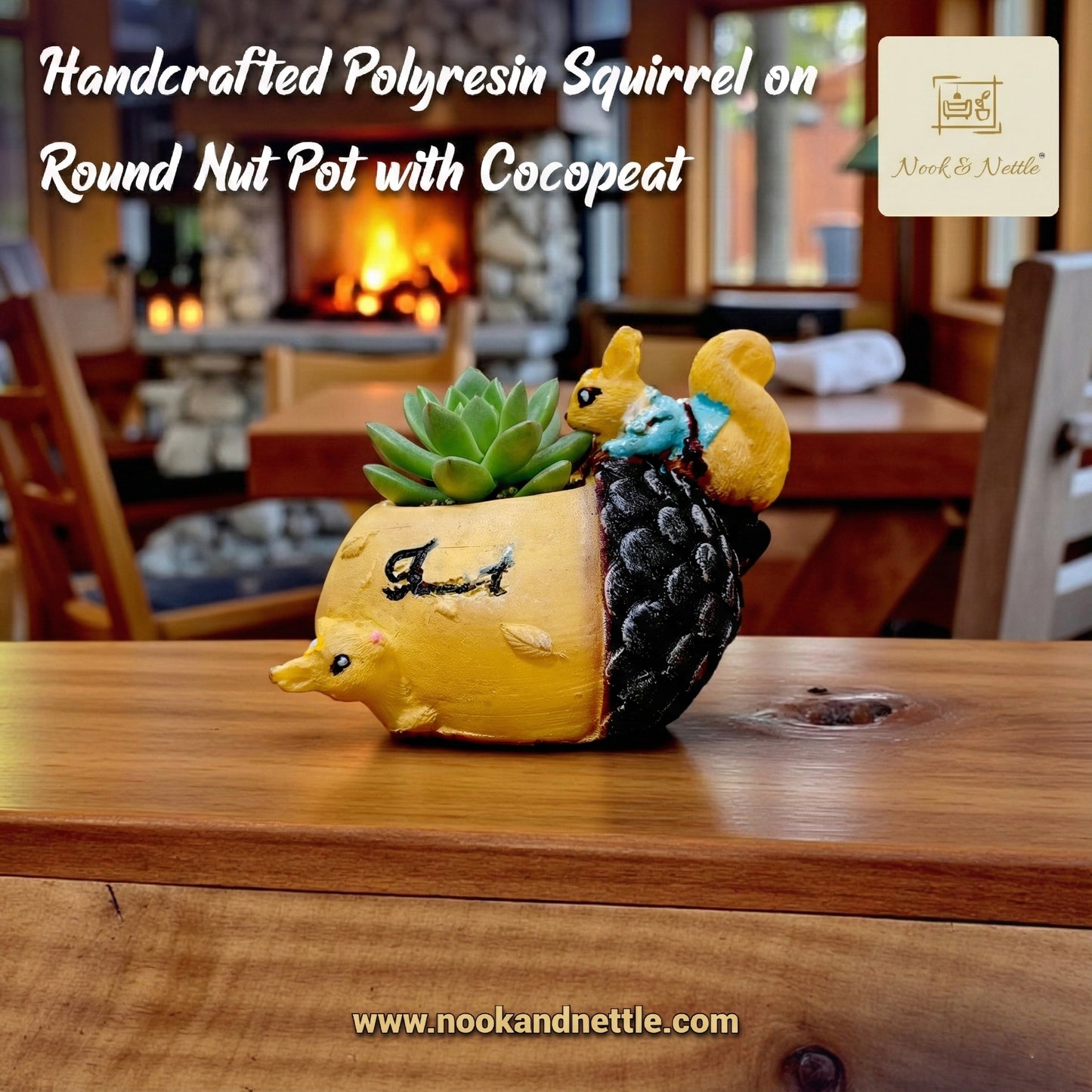 N&N Handcrafted Squirrel Round Nut Planter Pot for Home & Office Décor